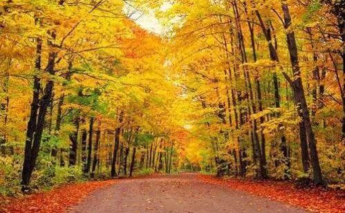 新时代蔡家姐妹：一首诗 一幅画 一首歌(图4)