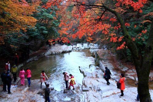 新时代蔡家姐妹：一首诗 一幅画 一首歌(图9)