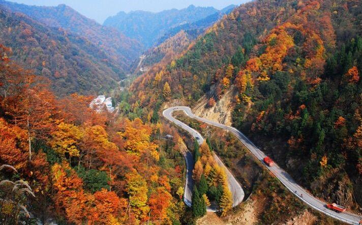 新时代蔡家姐妹：一首诗 一幅画 一首歌(图11)