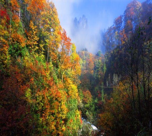 新时代蔡家姐妹：一首诗 一幅画 一首歌(图13)