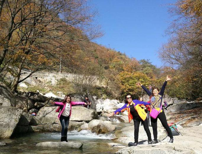 新时代蔡家姐妹：一首诗 一幅画 一首歌(图14)