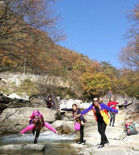 新时代蔡家姐妹：一首诗 一幅画 一首歌(图15)