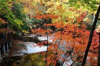 新时代蔡家姐妹：一首诗 一幅画 一首歌(图19)