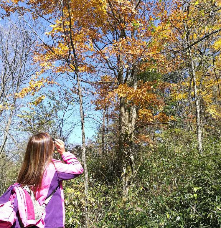 新时代蔡家姐妹：一首诗 一幅画 一首歌(图20)