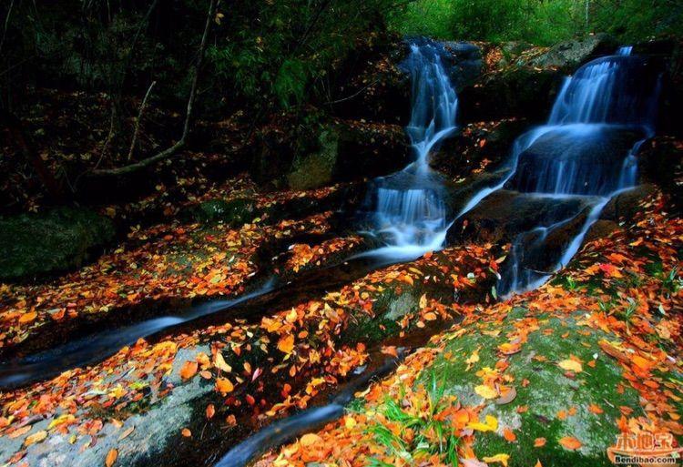 新时代蔡家姐妹：一首诗 一幅画 一首歌(图25)