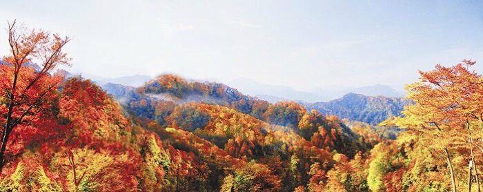 新时代蔡家姐妹：一首诗 一幅画 一首歌(图28)