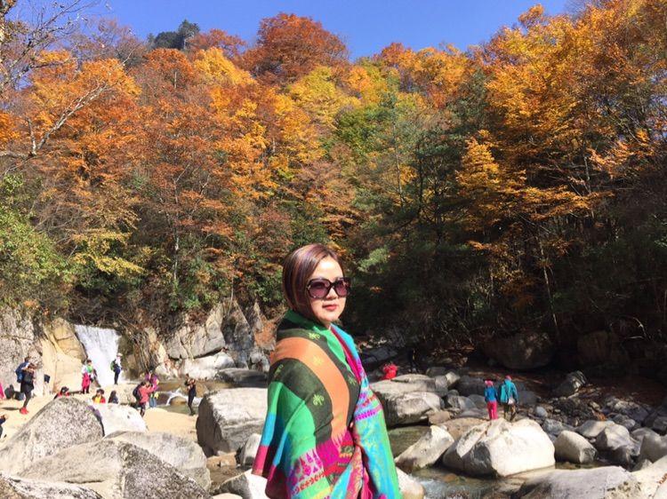 新时代蔡家姐妹：一首诗 一幅画 一首歌(图29)