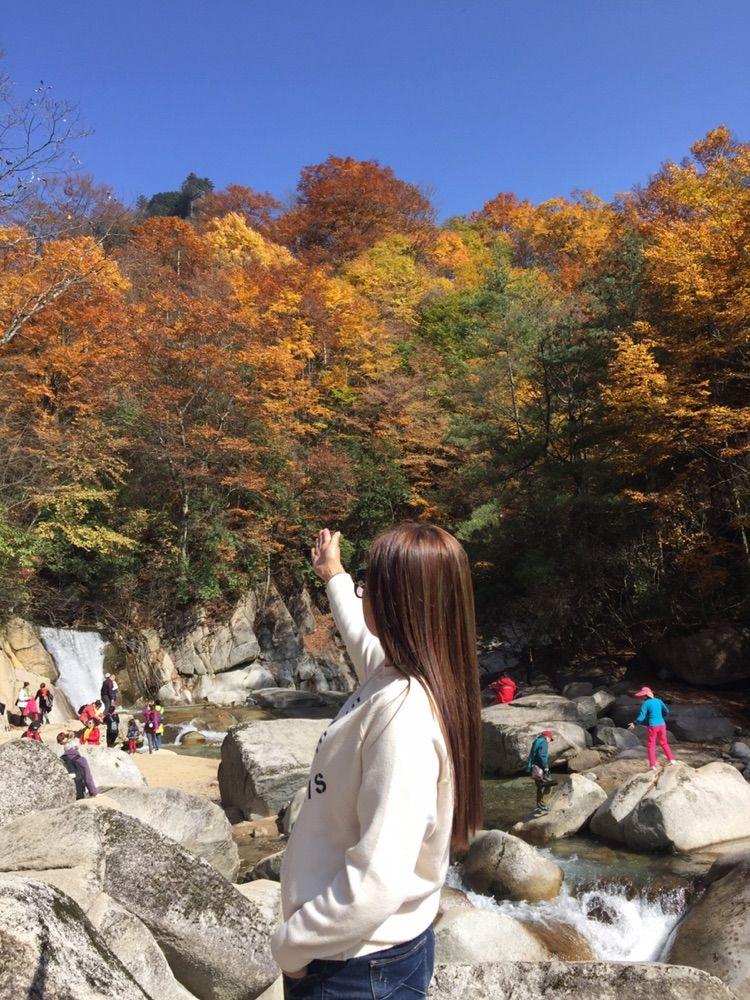 新时代蔡家姐妹：一首诗 一幅画 一首歌(图30)