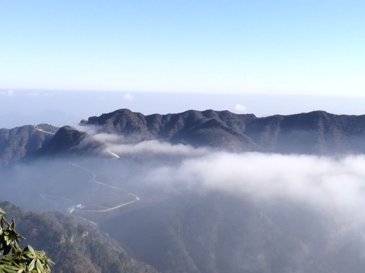 新时代蔡家姐妹：一首诗 一幅画 一首歌(图34)