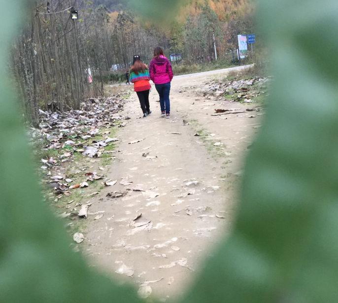 新时代蔡家姐妹：一首诗 一幅画 一首歌(图36)