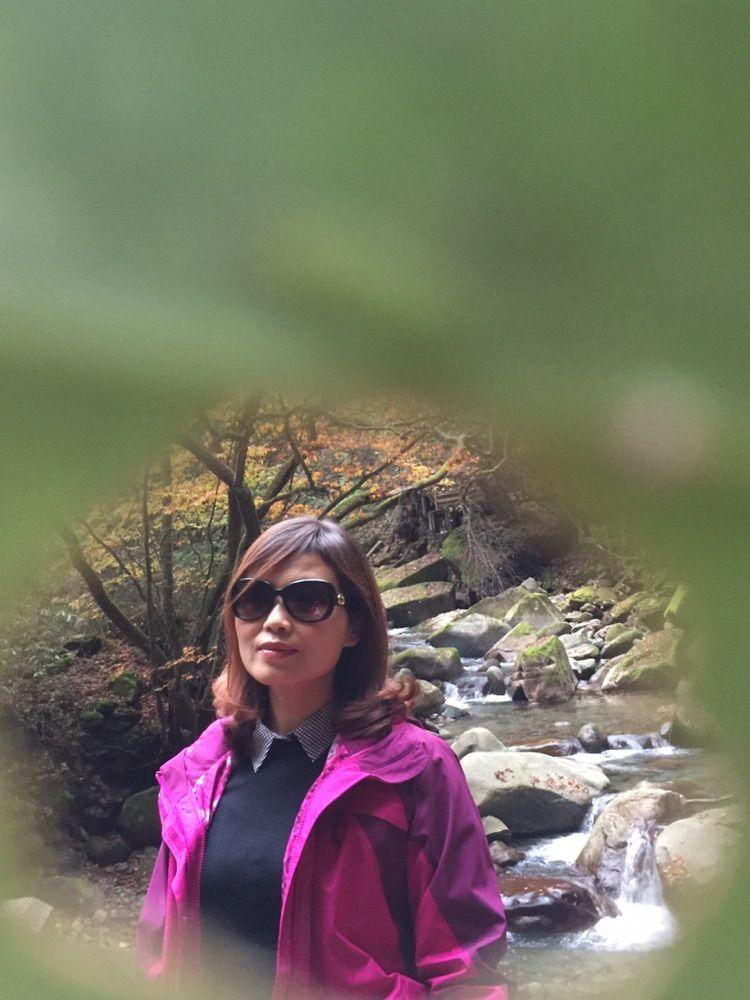 新时代蔡家姐妹：一首诗 一幅画 一首歌(图39)