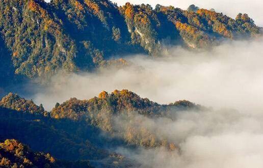 新时代蔡家姐妹：一首诗 一幅画 一首歌(图45)