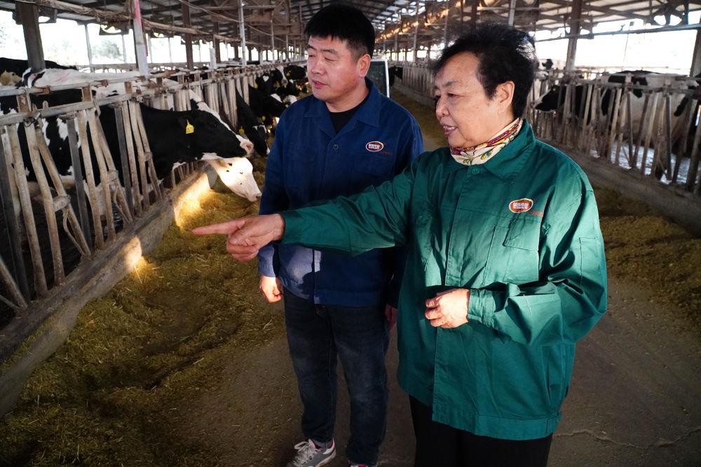 十年两会·温暖记忆｜“当好‘火车头’，跑出乡村振兴‘加速度’！”(图3)