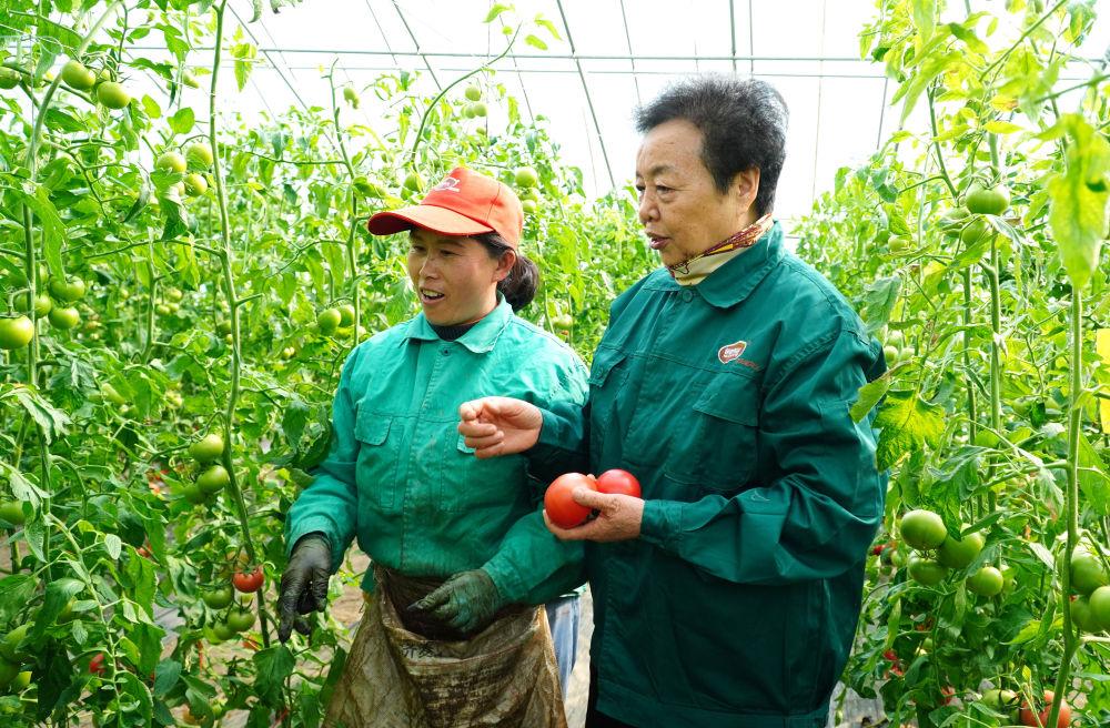 十年两会·温暖记忆｜“当好‘火车头’，跑出乡村振兴‘加速度’！”(图6)