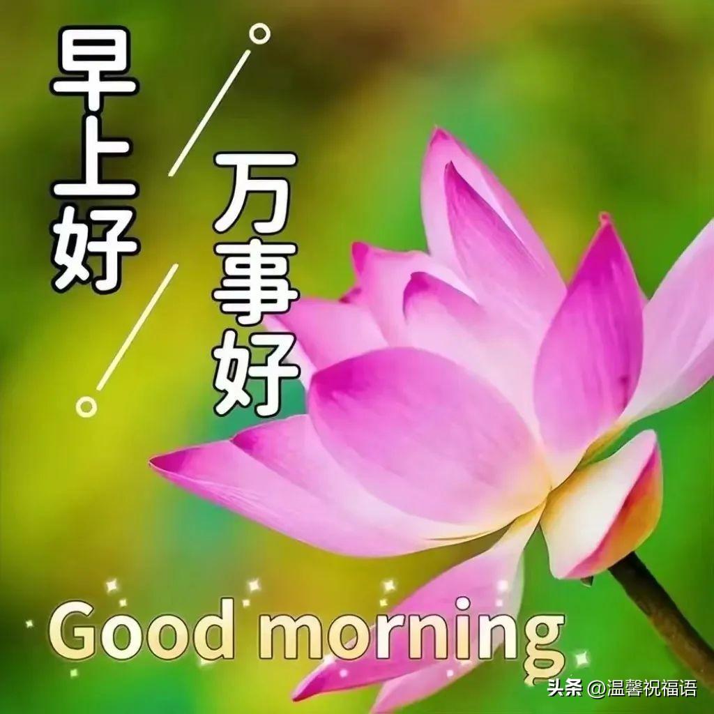 星期五温馨漂亮早安图片带字祝福语 免打字微信关心亲友早上好语录(图1)