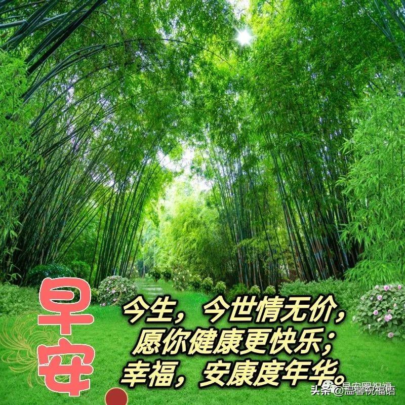 星期五温馨漂亮早安图片带字祝福语 免打字微信关心亲友早上好语录(图2)