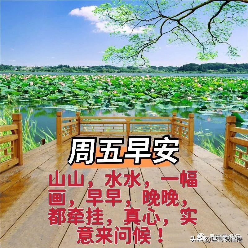 星期五温馨漂亮早安图片带字祝福语 免打字微信关心亲友早上好语录(图3)