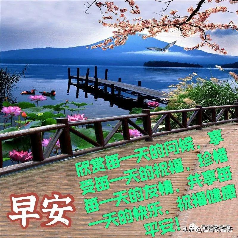 星期五温馨漂亮早安图片带字祝福语 免打字微信关心亲友早上好语录(图5)