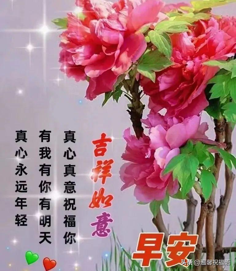 星期五温馨漂亮早安图片带字祝福语 免打字微信关心亲友早上好语录(图7)