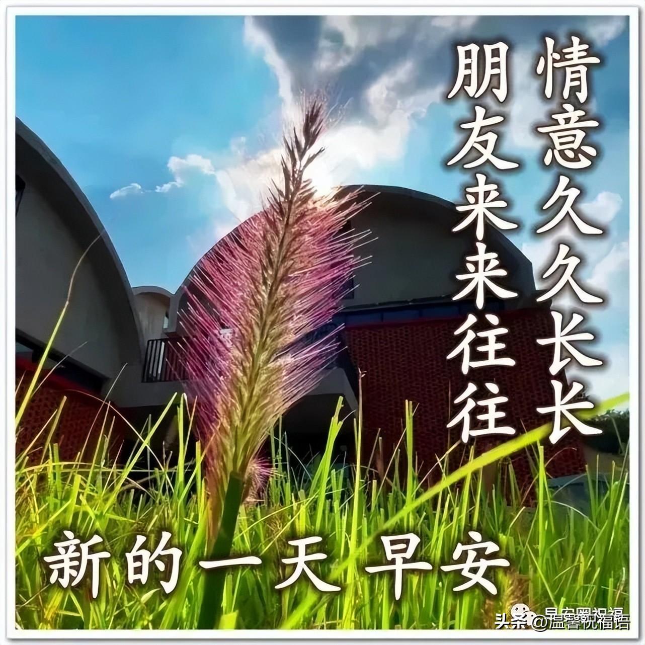 星期五温馨漂亮早安图片带字祝福语 免打字微信关心亲友早上好语录(图8)