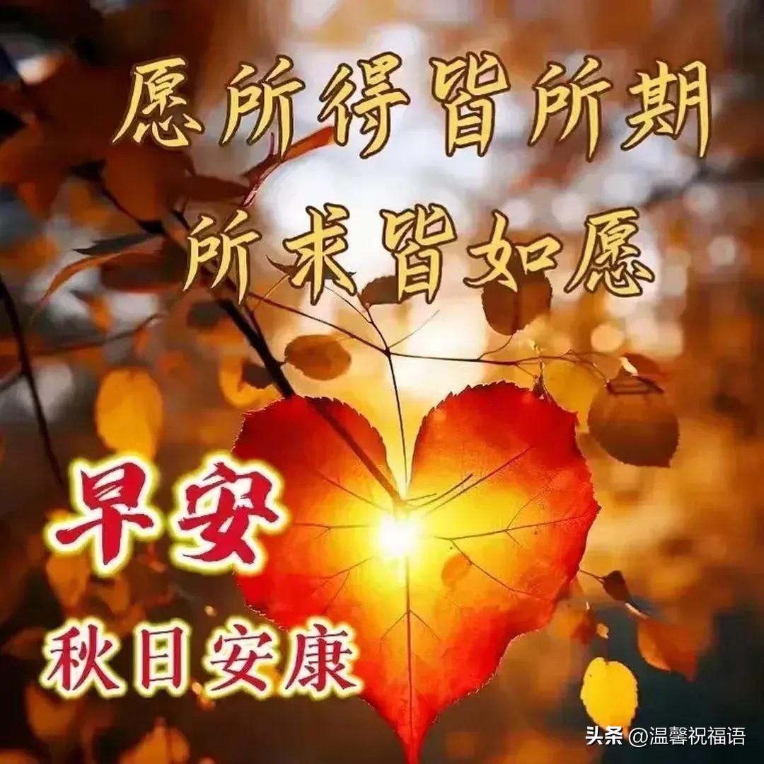 星期五温馨漂亮早安图片带字祝福语 免打字微信关心亲友早上好语录(图9)