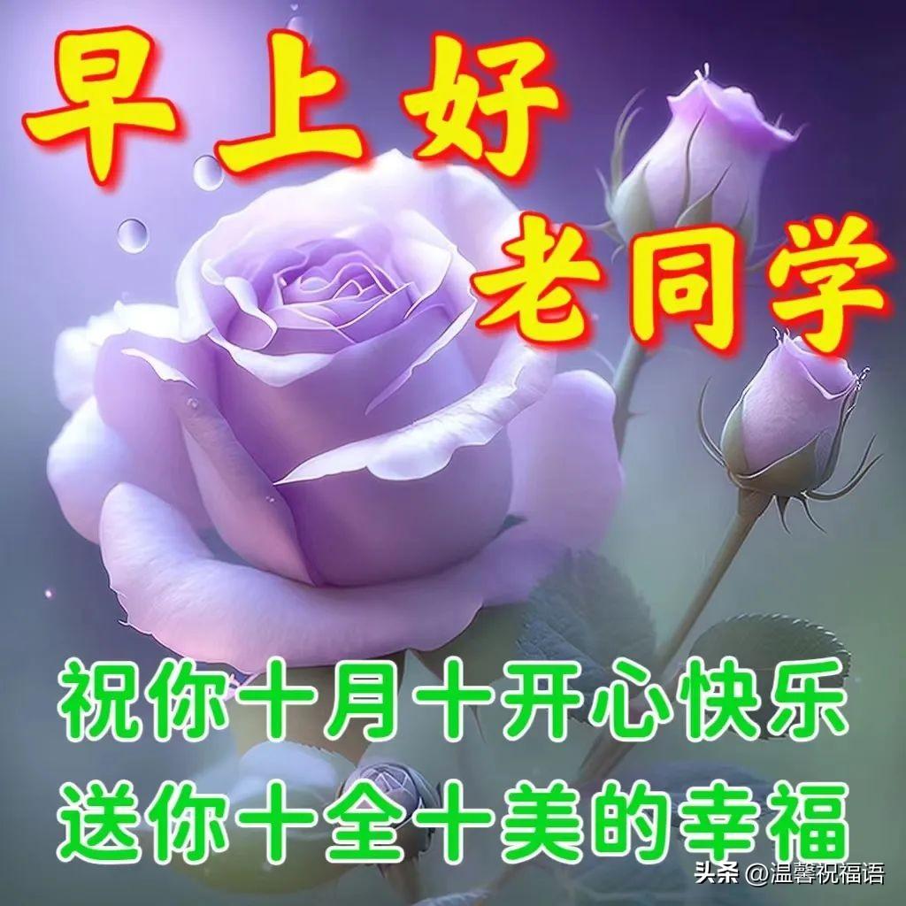 10月17日星期二早上好 精选早安祝福创意表情包图片带字带问候语录(图7)