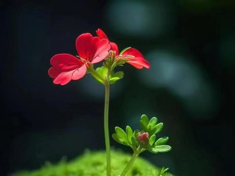 九月开学季，八首古诗词中的开学寄语，送给每一位努力的莘莘学子(图2)