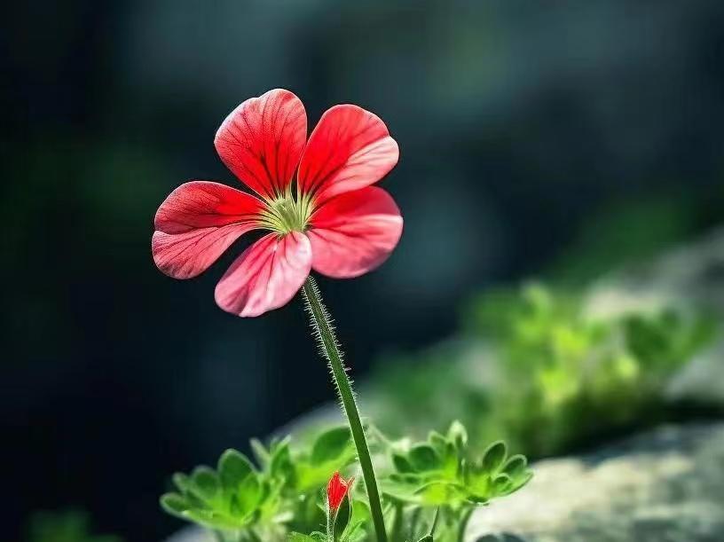 九月开学季，八首古诗词中的开学寄语，送给每一位努力的莘莘学子(图4)