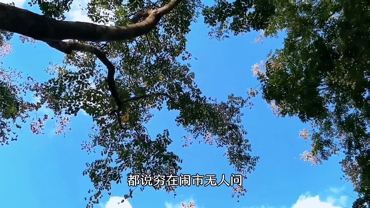 这个社会就是这么现实残酷，虽然钱不是万能的(图2)