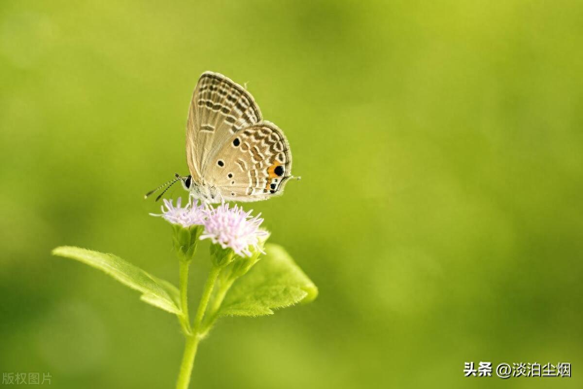 送别父母，人生已是归途，余生让自己快乐自在的生活(图1)