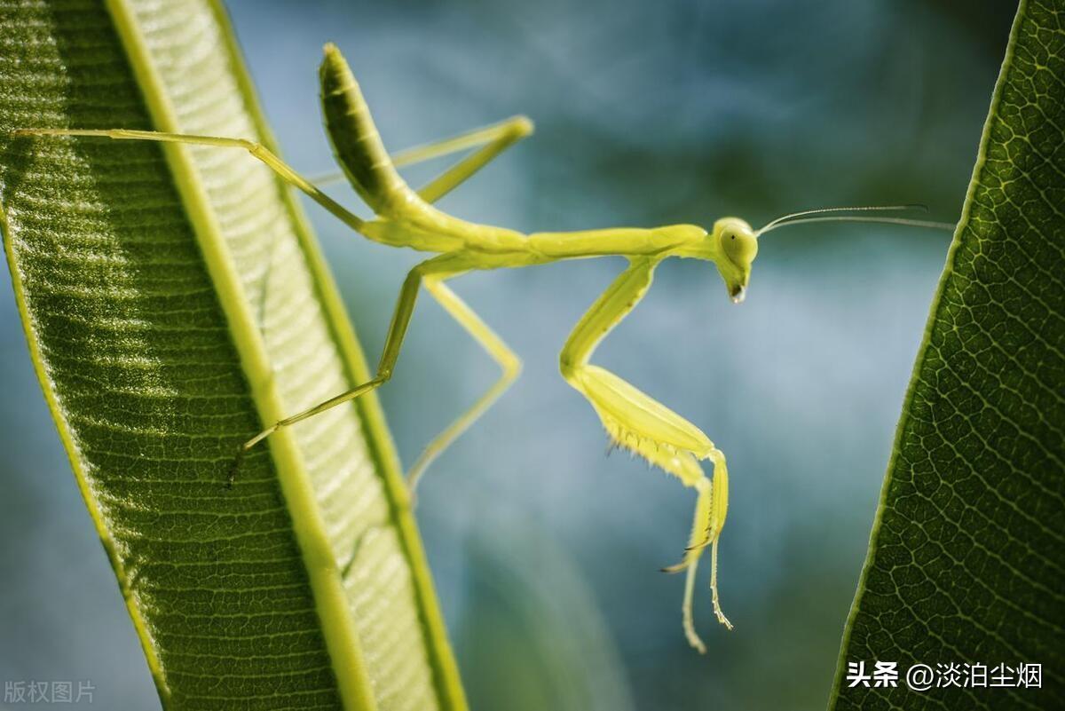 送别父母，人生已是归途，余生让自己快乐自在的生活(图2)