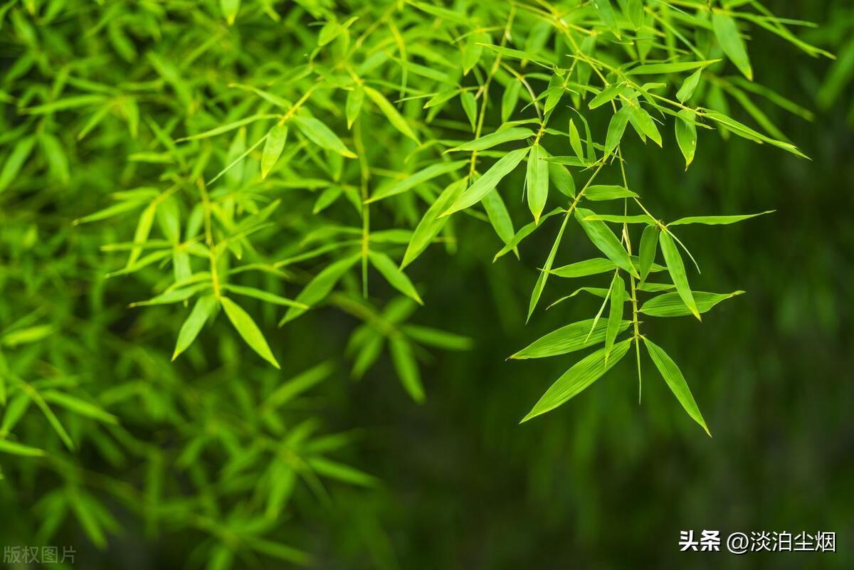 送别父母，人生已是归途，余生让自己快乐自在的生活(图3)