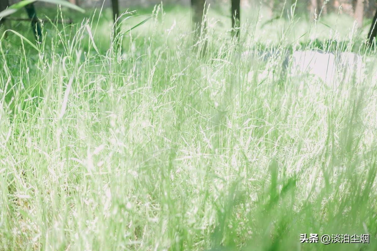 送别父母，人生已是归途，余生让自己快乐自在的生活(图4)