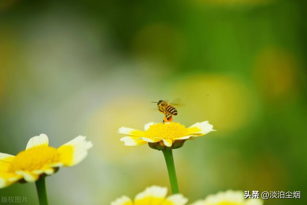 送别父母，人生已是归途，余生让自己快乐自在的生活(图5)