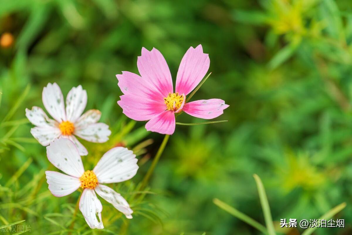 送别父母，人生已是归途，余生让自己快乐自在的生活(图6)
