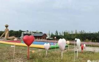 爱是陪伴，终其一生；爱让我们明白，所有的等待，所有的坚持，都(图1)