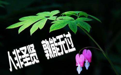 人非圣贤孰能无过，知错就改善莫大焉(图1)