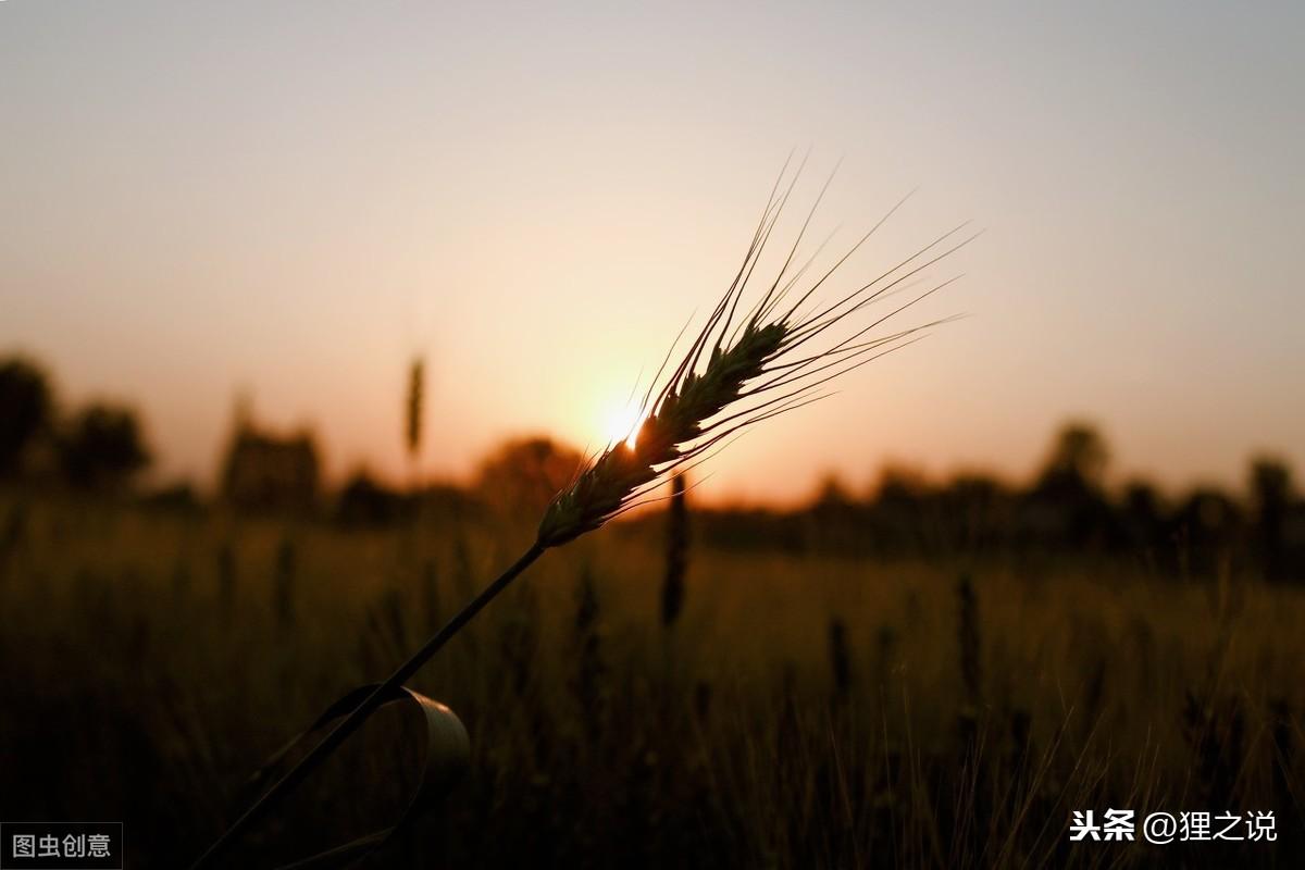 微信最近很火的心情句子：阳光温淡，岁月静好，你不来，我不老(图1)