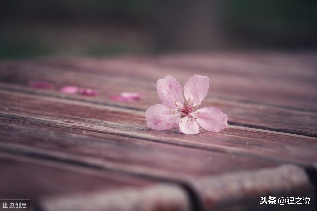 微信最近很火的心情句子：阳光温淡，岁月静好，你不来，我不老(图3)