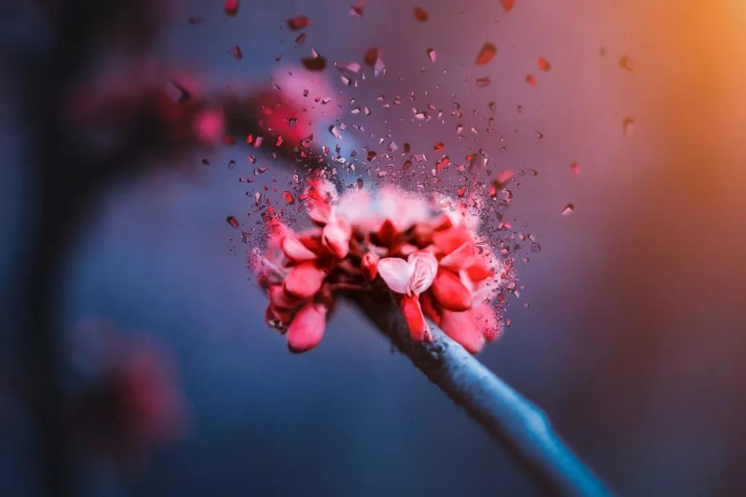 每日一读：你不来，我不老(图2)