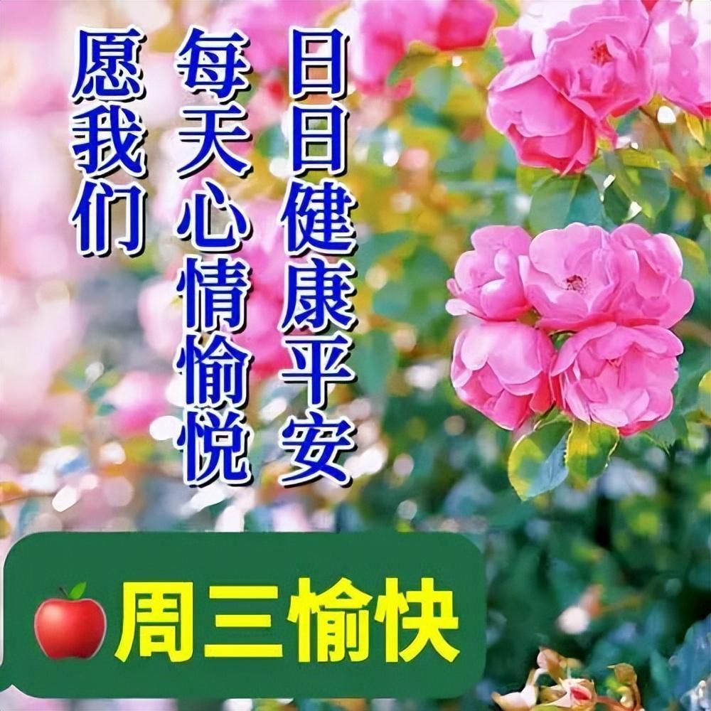 今日最新版早安问候大全，愿诸事顺心，幸福安康(图3)
