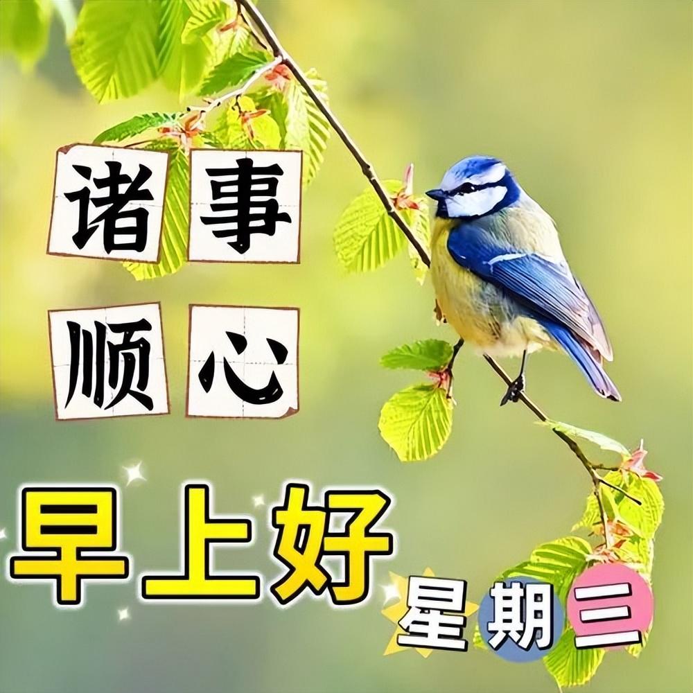 今日最新版早安问候大全，愿诸事顺心，幸福安康(图4)