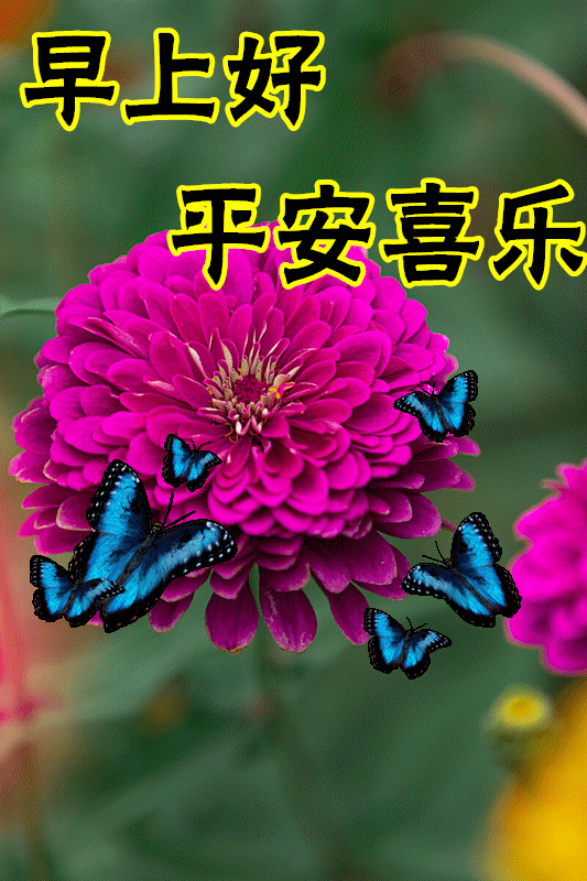 2023年10月18日周三早上好，最新版唯美好看祝福语图片带字短句(图1)