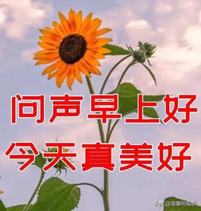 2023年10月18日周三早上好，最新版唯美好看祝福语图片带字短句(图3)