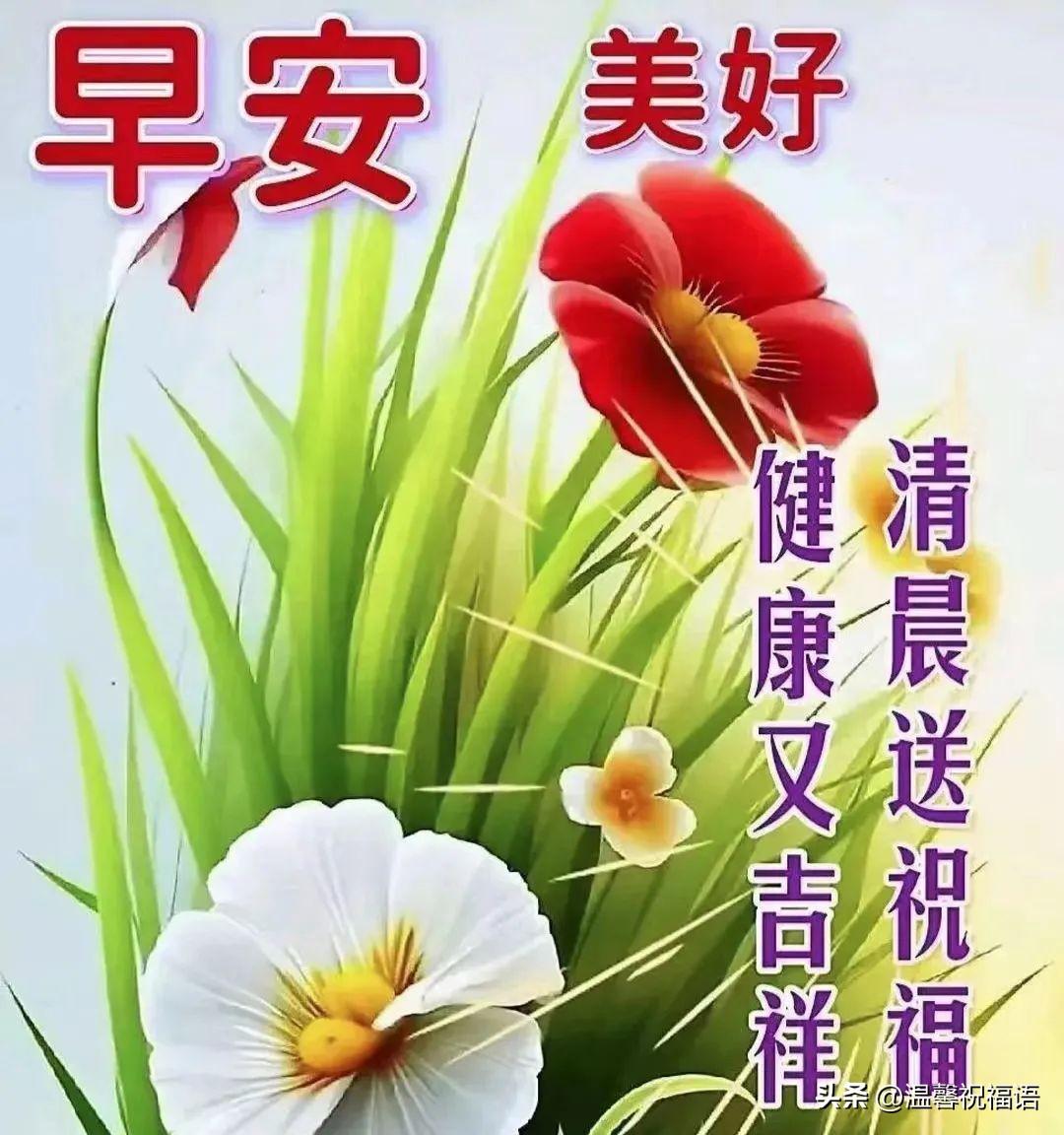 2023年10月18日周三早上好，最新版唯美好看祝福语图片带字短句(图5)