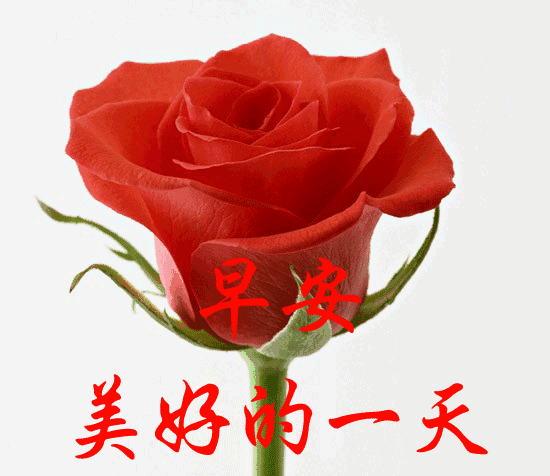 2023年10月18日周三早上好，最新版唯美好看祝福语图片带字短句(图13)