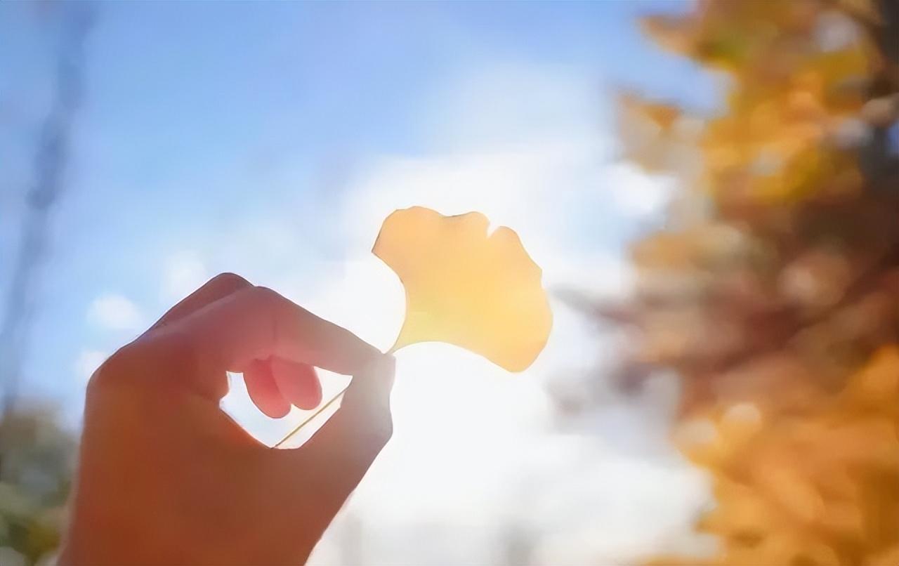 简单治愈的精选句子，精辟入心，值得一看(图3)