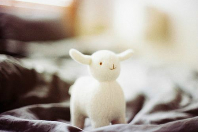 朋友圈最流行的心情句子，简短文艺，万里挑一(图2)