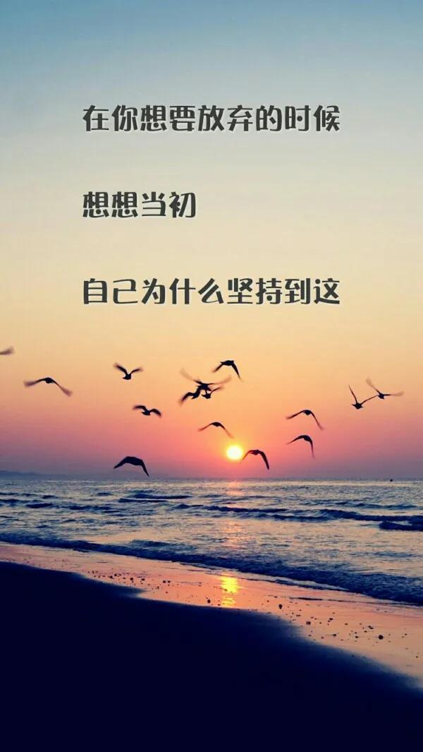 每日一说：你的坚持，终将美好(图4)