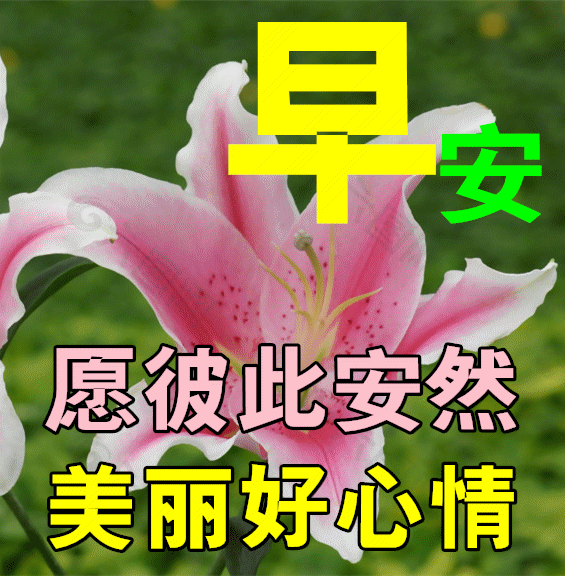 周三心语 重拾努力、拼搏的勇气，追寻成功的足迹 ！(图4)